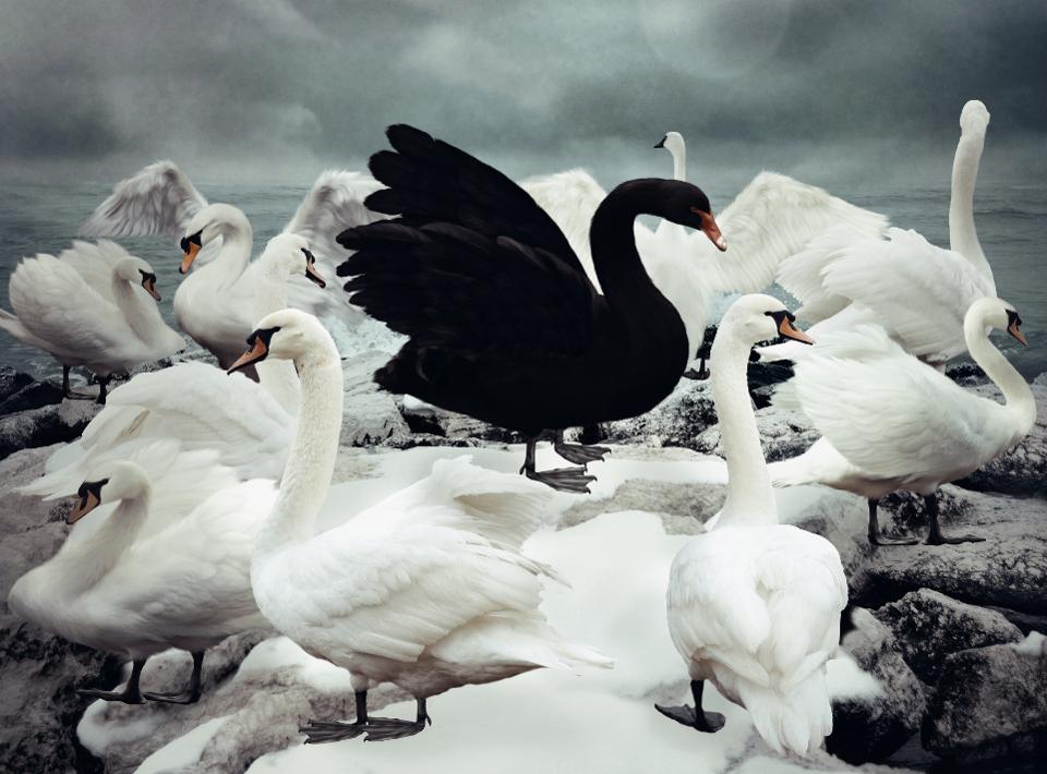 Uncertainties and Black Swans